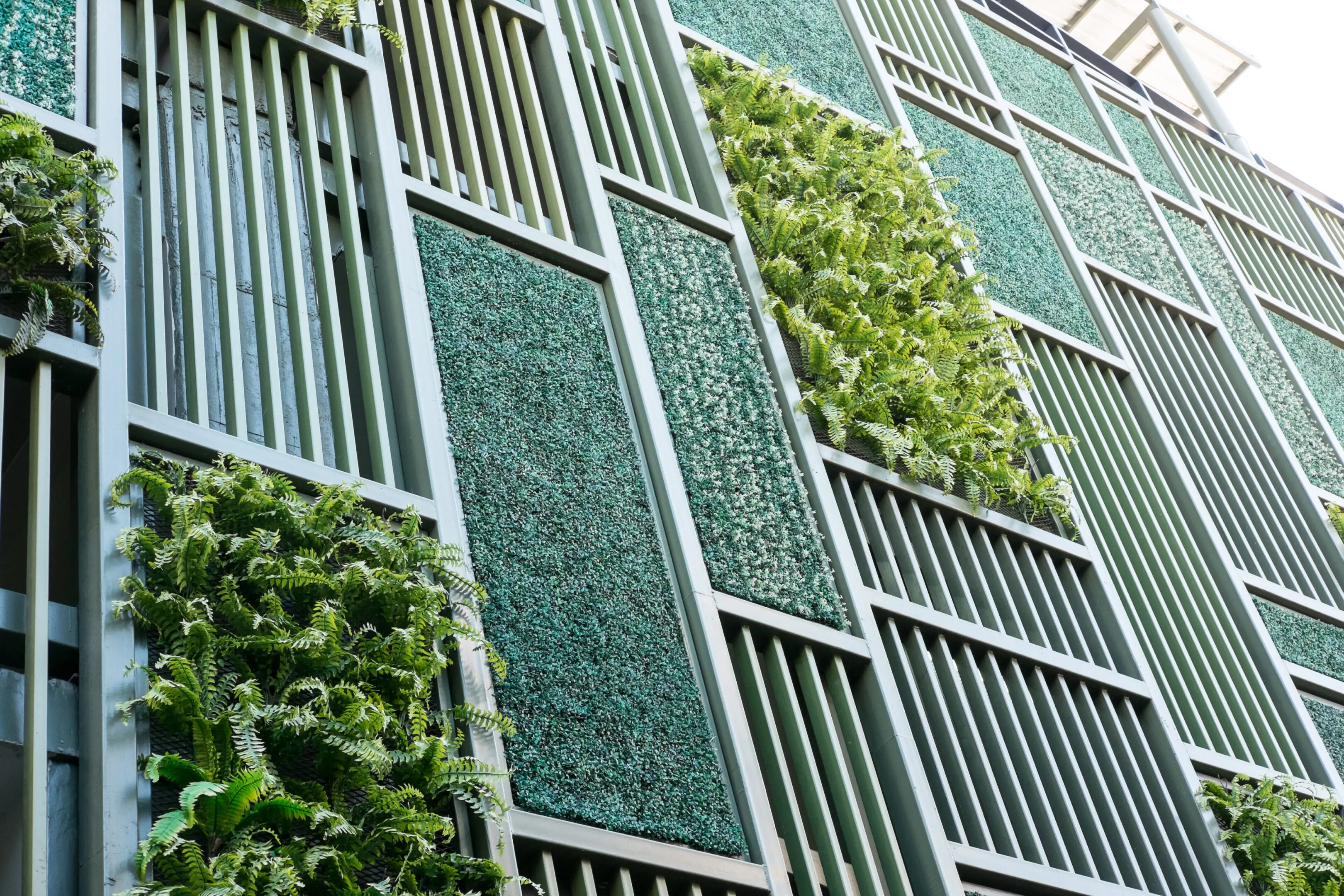 A building with green plants growing on the side.